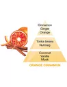 Orange de Cannelle / Orange Cinnamon